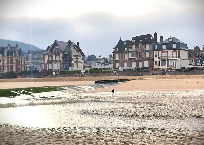 Mhsweethome Piscine Wifi Privé Tv 3 6 Pers 32m2 Chalet *